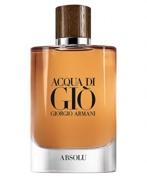 Giorgio armani acqua di gio 2024 absolu instinct eau de parfum